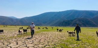 This was a 580-hectare lake.