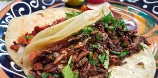 Tuck into some bugs in Mexico City.