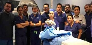 Trixie and the surgical team.
