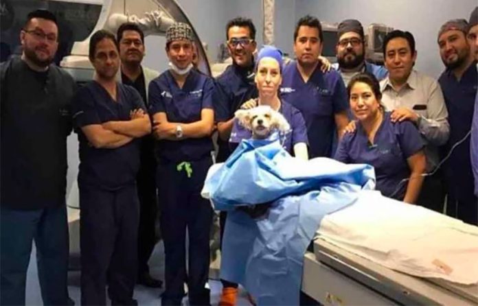 Trixie and the surgical team.