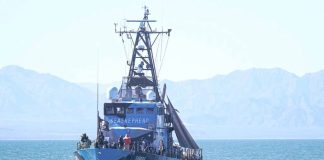 The Sea Shepherd vessel Sharpie.