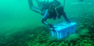 Underwater archaeologist Roberto Junco deposits the archive on the bottom of the Lake of the Moon.