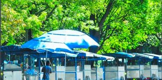 Deserted food carts in Mexico City's Chapultepec Park.
