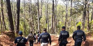 Police search for animal that killed a 50-year-old man.