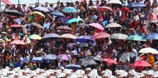 No coronavirus worries here.