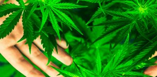 Entrepreneurs welcome new legislation.