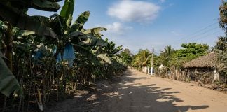 A banana plantation just outside Ciudad Hidalgo provides jobs to many asylum seekers.
