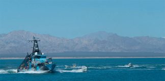 Fishboats attack the Sharpie in the Gulf of California on Tuesday.