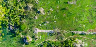 The 1,300-year-old road between the cities of Cobá and Yaxuná is the longest ever built by the Maya