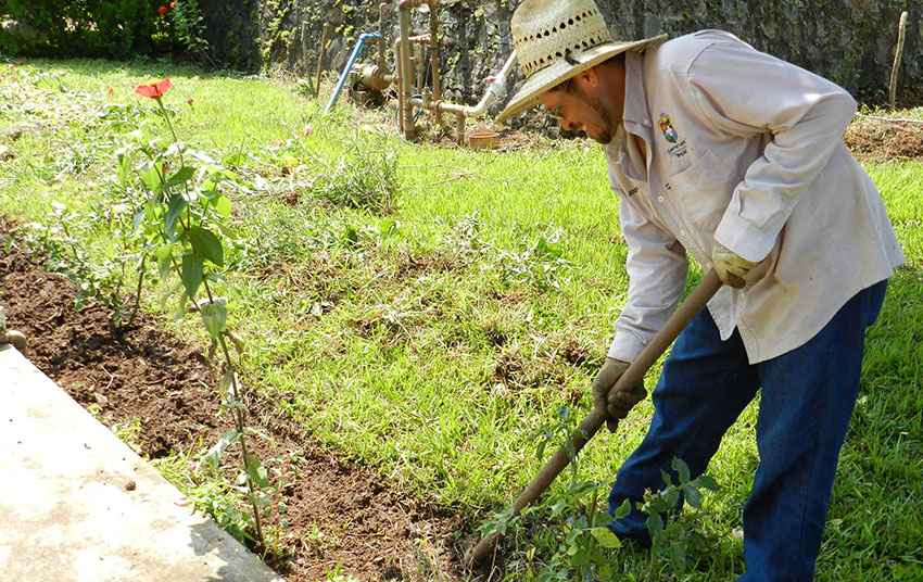 Some gardeners continue to work in cases where there is no contact.