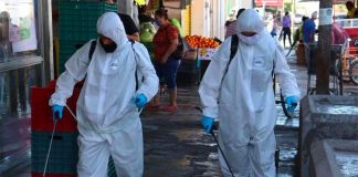 Workers apply disinfectant against coronavirus.