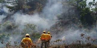 Firefighters at work in Oaxaca.