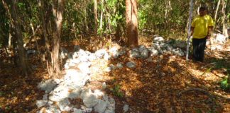 Remains of a settlement found in Mahahual, Quintana Roo