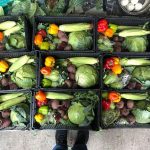 The Weekly Huacal, a selection of vegetables, fruits and herbs from vendors in the Central de Abasto market.