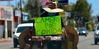 'Exchange for food,' reads street vendor Margarita's sign in Los Cabos.
