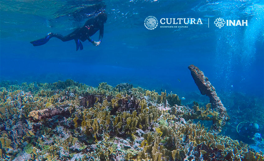 Ship's anchor has become embedded in the coral.