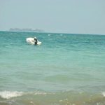 Waters off Veracruz turn turquoise blue due to lack of human activity.