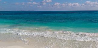 A sargassum-free beach in Quintana Roo.