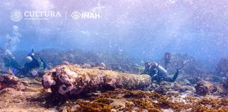 The remains of a cannon found by divers off the coast of Quintana Roo