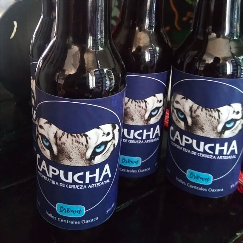 Brown ale produced by Capucha in Oaxaca.