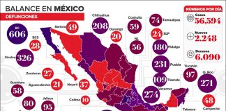 Coronavirus deaths by state as of Wednesday evening