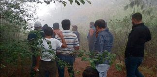 Hidden drivers watch thieves steal their trucks or their cargo.