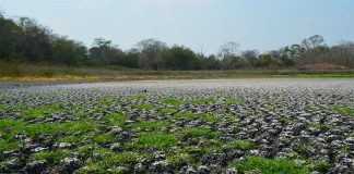 The now dry Zoh lagoon in Campeche.