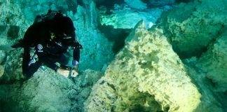 Researcher Octavio del Río at the site of the largest of the fires.