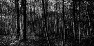 This photo by Lorena Velázquez was one of those in the online sale.