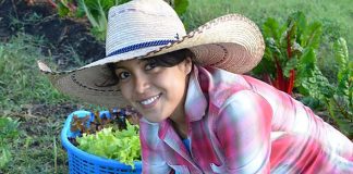 A gardener harvests greens at Vía Orgánica in San Miguel de Allende.