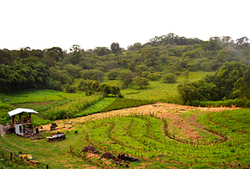 Las Cañadas center for agroecology and permaculture in Veracruz.