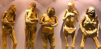 Some of the mummies of Guanajuato: not all are accounted for.
