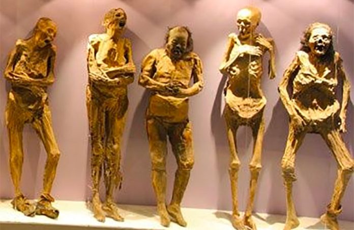 Some of the mummies of Guanajuato: not all are accounted for.
