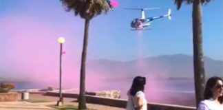 It's a girl: the helicopter that delivered the announcement of the unborn baby's gender.