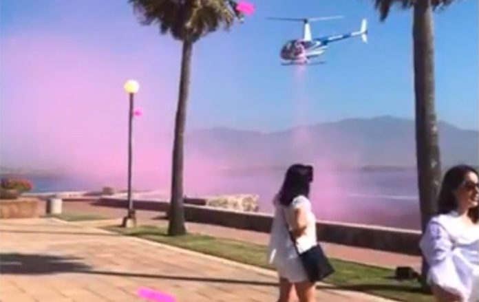 It's a girl: the helicopter that delivered the announcement of the unborn baby's gender.