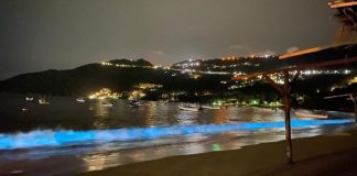 Biolumninescence at an Acapulco beach last month.