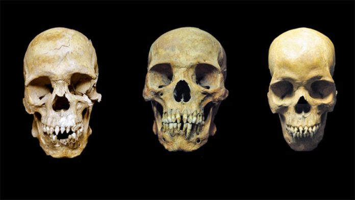 The skulls of the men buried in Mexico City whose bodies were found in the 1990s.