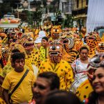 A Tigrada in Chilapa, Guerrero,