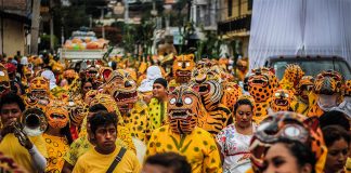 A Tigrada in Chilapa, Guerrero,