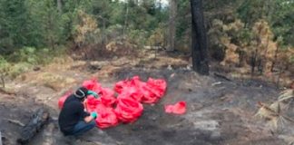 Hospital waste dumped outside Mexico City.
