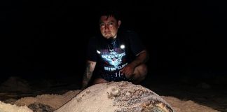 Luis Antonio Góngora is 'the animal guy' in Seybaplaya, Campeche.