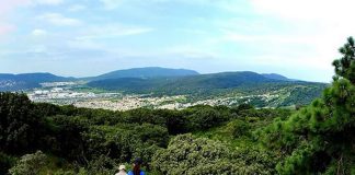Hikers get a glimpse of Guadalajara while traversing the pine and oak forest.