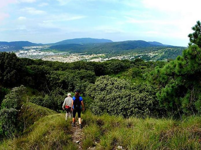 Hikers get a glimpse of Guadalajara while traversing the pine and oak forest.