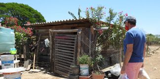A Vallarta Food Bank volunteer delivers a food package to a needy recipient.
