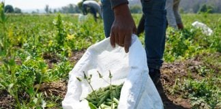 The only good news was in the agricultural sector