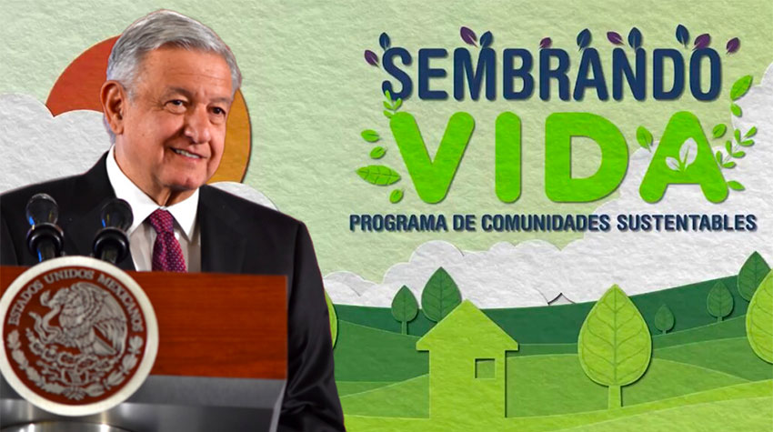 Sembrando Vida has been touted by President López Obrador as a major job creation program.