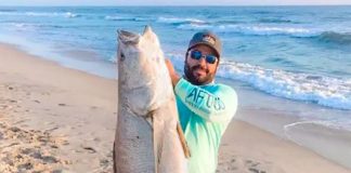 Ricardo Reyes and his potentially record-breaking sea bass.