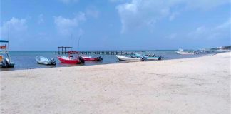 A sargassum-free beach Friday in Playa del Carmen.