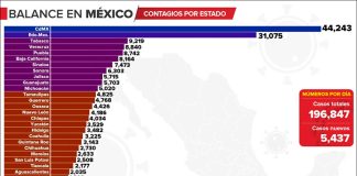 Coronavirus cases by state, as of Wednesday.