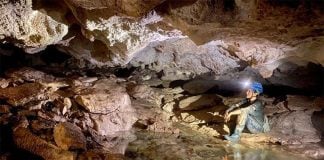 Inside the cave that was revealed by a sinkhole.